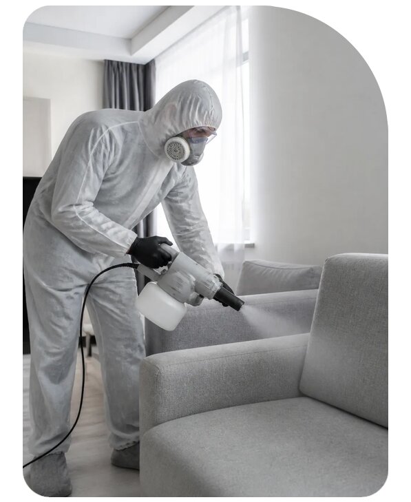 Профессиональная дезинфекция мебели в Приморско-Ахтарске по цене от 1521 р. | Сенат-Прр